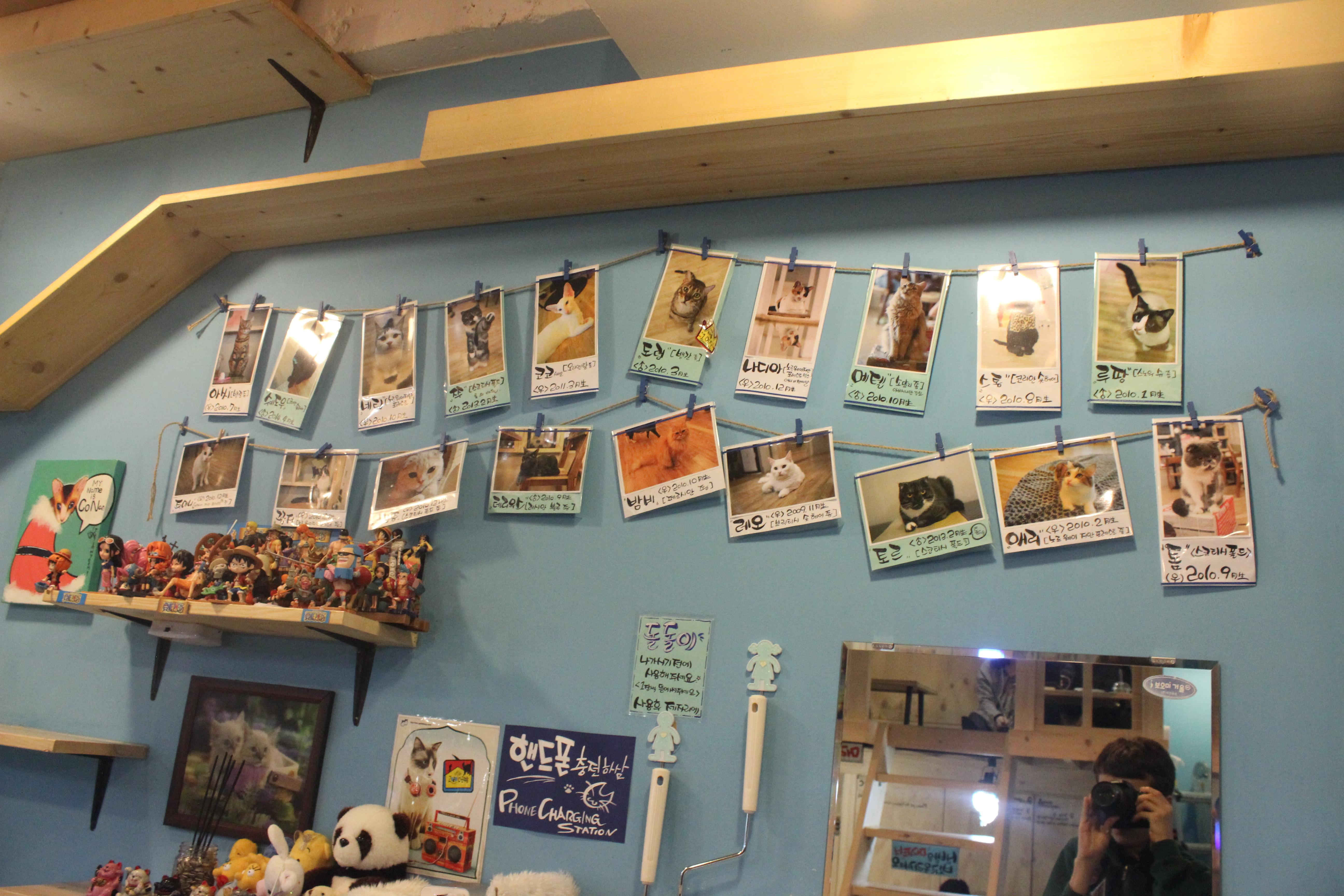 Pictures of the residents lined up on the blue wall below the walkway to the skywalk the runs below the ceiling. 