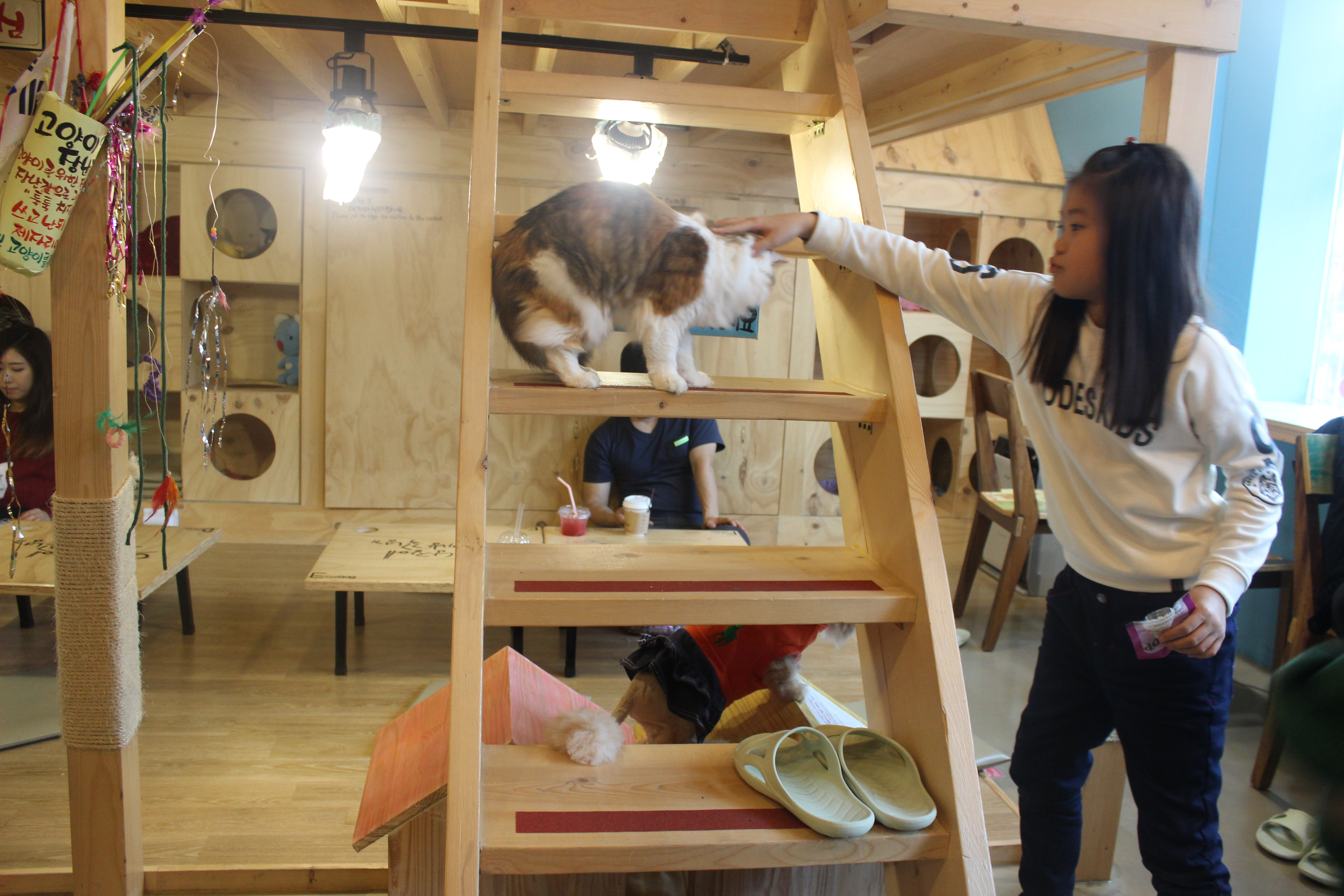 Ladder up to the second level. 