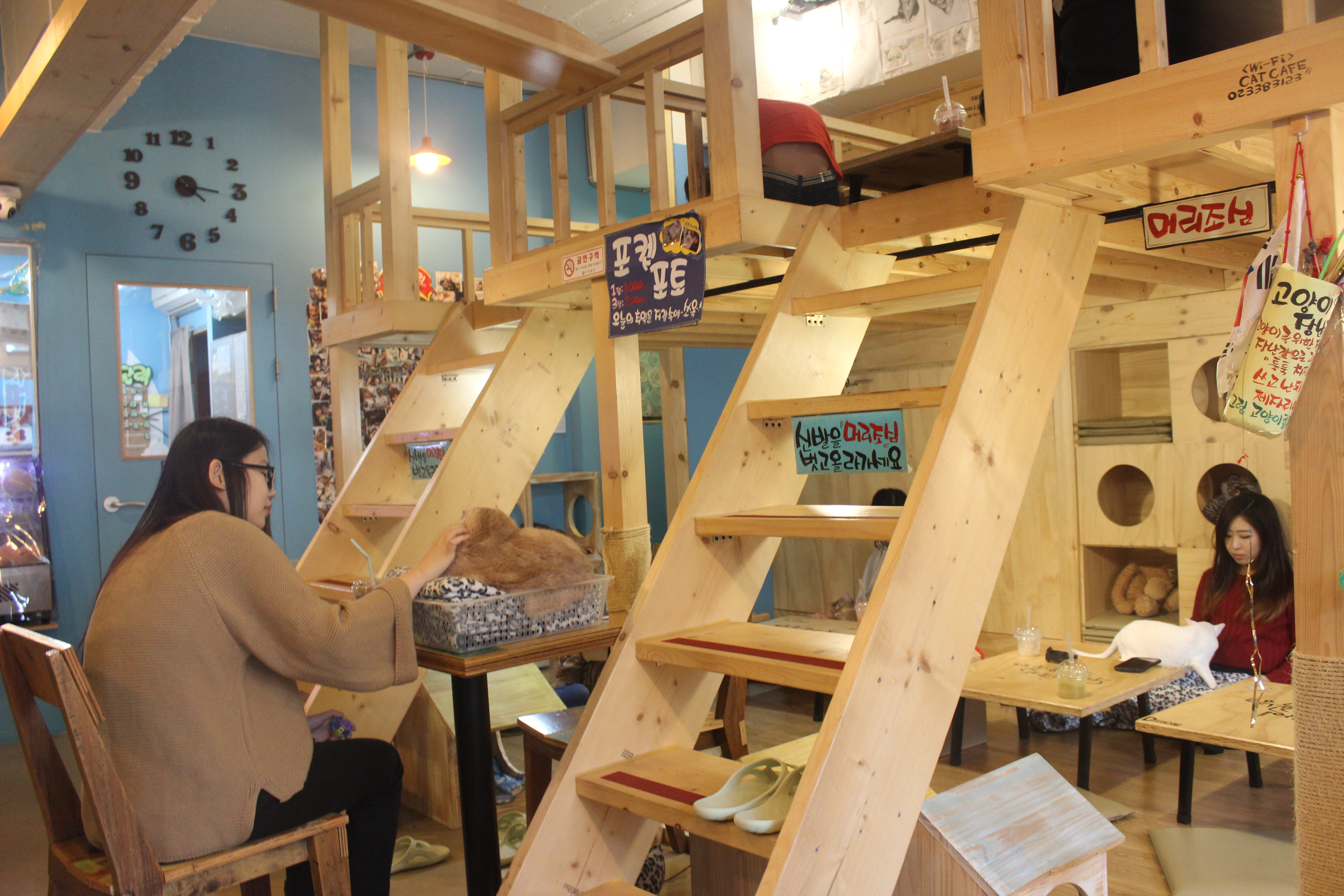glancing down the center of the Cat Cafe.
