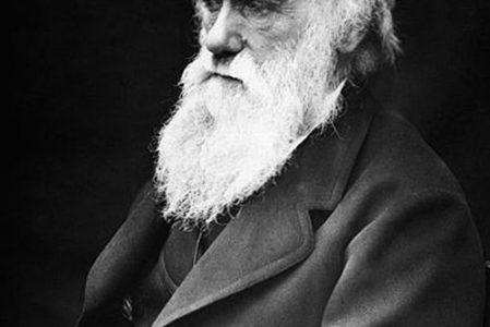 * 개인숭배(fandom, 소위 “빠질”)의 제문제(諸問題)