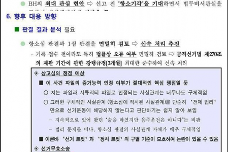 [“부정선거 백서” 탄압 사건] 공무(소송 등)의 적법절차 원칙에 관한 의견