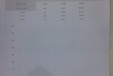 선관위가 조작된 개표집계상황표를 공개했던 것이 확인되었습니다