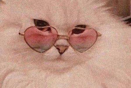 투표거부하면 살고 투표하면 죽는다. #지연