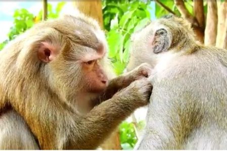 § 처세(處世) Ⅱ § * 정치권력은 무엇인가?