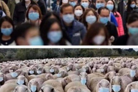 정신병을 기념한다